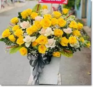 Tiệm hoa tươi tại phường Trà Nóc Bình Thuỷ Cần Thơ MC559