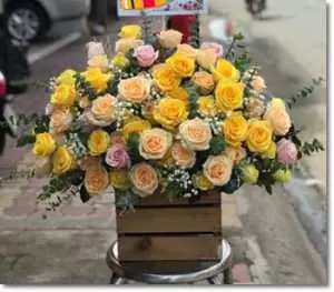 Bán hoa tươi tại thành phố Buôn Ma Thuột Đắk Lắk MC573