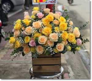 Shop hoa tươi tại xã Kỳ Ninh Kỳ Anh Hà Tĩnh MC573
