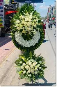 Tiệm hoa tươi ở phường Dư Hàng Lê Chân Hải Phòng MC580