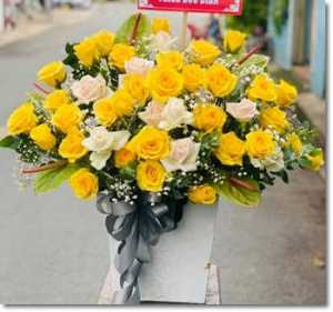 Cửa hàng hoa tươi thị trấn Cái Tắc Châu Thành A Hậu Giang MC559