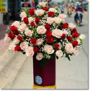 Tiệm hoa tươi huyện Mai Châu Hòa Bình MC555