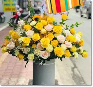 Bán hoa tươi ở thị trấn Cát Tiên Lâm Đồng MC570