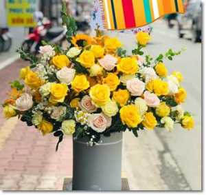 Bán hoa tươi thị xã Đức Phổ Quảng Ngãi MC570